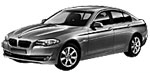 BMW F10 P315D Fault Code